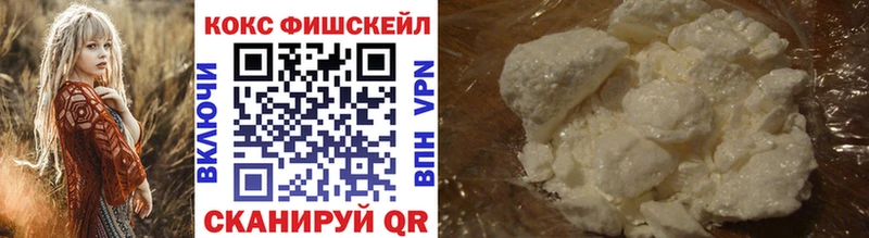 COCAIN FishScale  купить  цена  нарко площадка наркотические препараты  Дудинка 