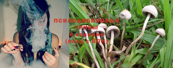 MDMA Premium VHQ Краснослободск