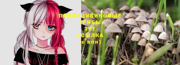 марки nbome Краснотурьинск